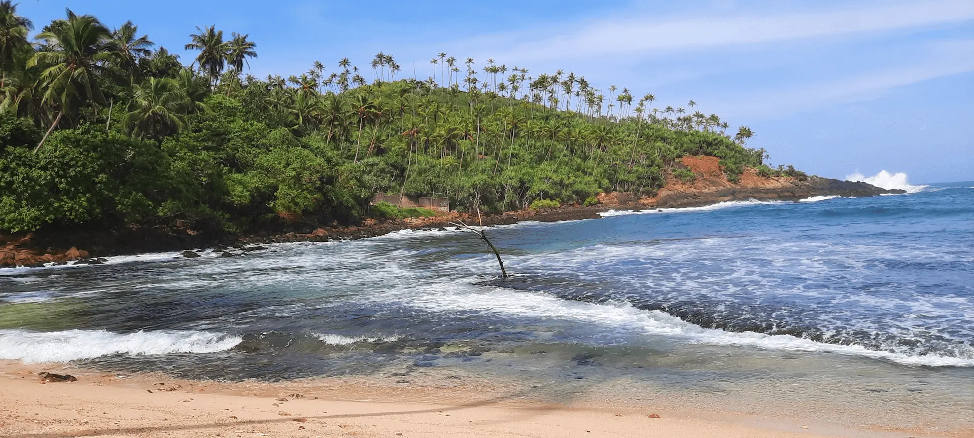 Shewan Seafood - Contact Us