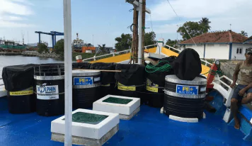 Shewan Sea Food - Gallery Image